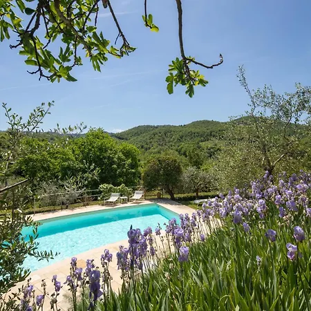 Chianti Classico With Pool
